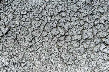 A lifeless land, craquelure