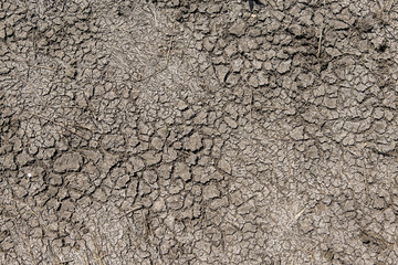 A lifeless land, craquelure