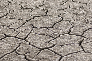A lifeless land, craquelure
