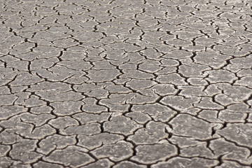 A lifeless land, craquelure