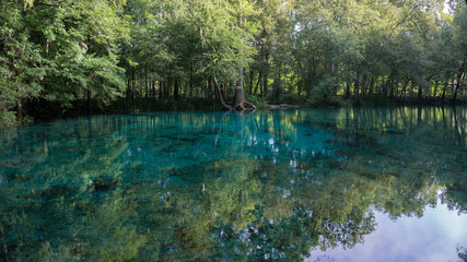 Beautiful view of the turquoise crystal clear waters of the lagoon of Ginnie Springs, Florida. USA
