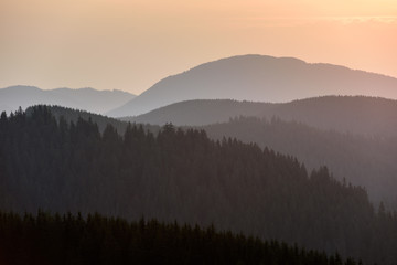 Forest Mountain Range Scene at Sunrise. Mountain panoramic landscape.
