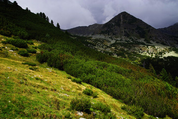 Summer landscape in Retezat Mountains, Romania, Europe