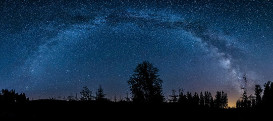 Milky Way panorama over dark forest