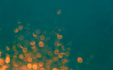 Blurred background with bokeh orange lights on teal background