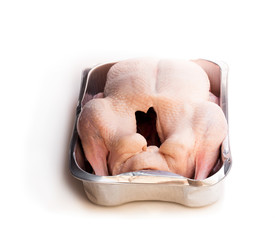 Raw whole  duck in a roasting oventray isolated on white