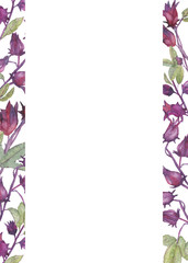 Hibiscus flowers and fruits hand-painted border frame with watercolor on white background.
