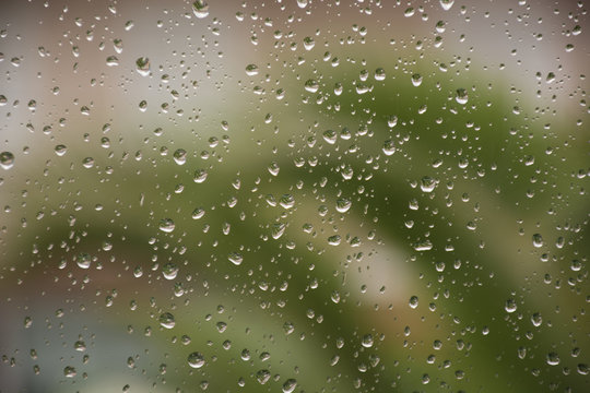 Rain drops on window glass green tree background