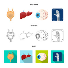 Vector design of body and human sign. Set of body and medical vector icon for stock.