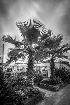 Fototapeta black and white beach on a bad weather day