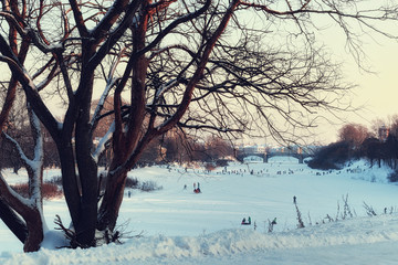 landscape path winter