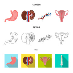 Isolated object of body and human logo. Set of body and medical vector icon for stock.