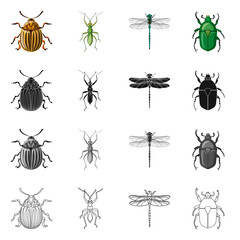 Vector design of insect and fly logo. Set of insect and element stock symbol for web.