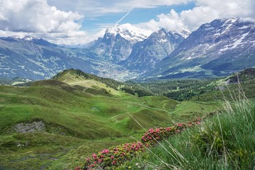 Alpine mountain green valley.