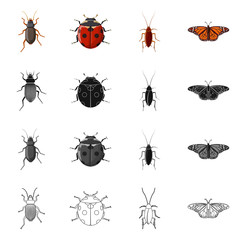 Vector design of insect and fly logo. Set of insect and element stock symbol for web.