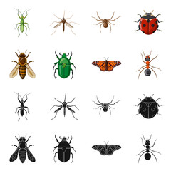 Vector illustration of insect and fly icon. Set of insect and element stock symbol for web.