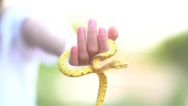 Blonde blue eyes girl has a snake in her hands.