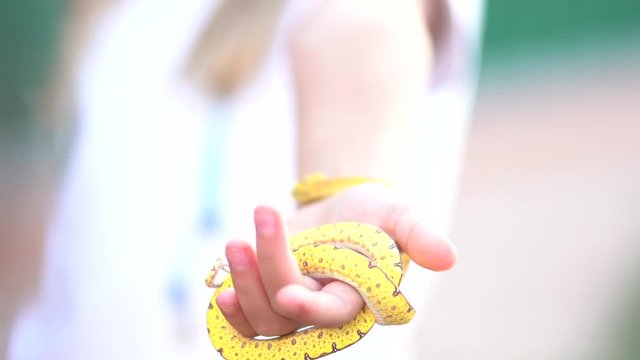 Blonde blue eyes girl has a snake in her hands.