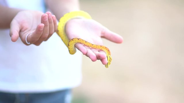 Blonde blue eyes girl has a snake in her hands.