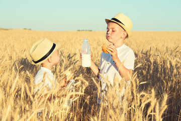 Two brothers eat buns and drink milk on a wheat field.