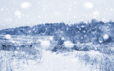 Fototapeta na wymiar Landscape in the winter day
