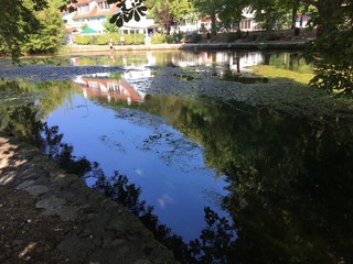 Aach quelle bei Engen in deutschland