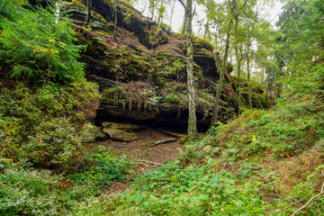 Saxon Switzerland, where the rocks speak their own language and the trees grow into the sky as if...