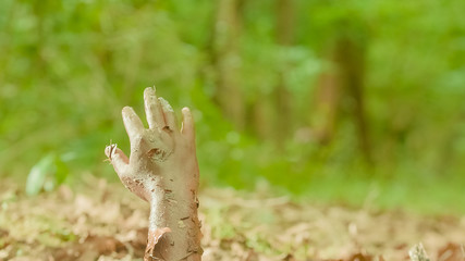 Concept quicksand - Man hand sticking out from quicksand