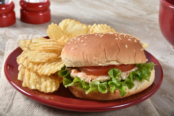 Tuna Burger with Potato Chips