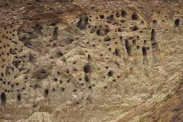 Texture of a nests bird's in a sandy ravine. Burrows in the walls quarry nesting places swifts and swallows in wild nature