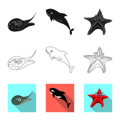 Vector design of sea and animal logo. Collection of sea and marine stock symbol for web.