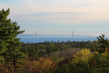 Bridge at Noon