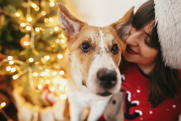 happy girl in santa hat hugging with cute dog on background of golden beautiful christmas tree with lights in festive room. family warm atmospheric moments. winter  holidays - Powered by Adobe
