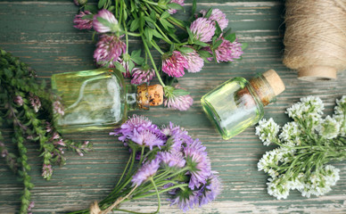 medicinal herbs, healthy plants, bottle of tincture or infusion. Top view. Herbal medicine.