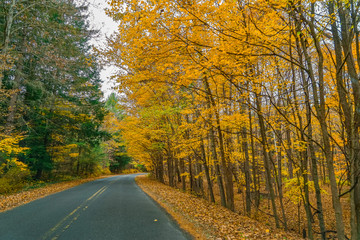 Naklejka premium Autumn Country Road toDingmans Falls waterfall in the Poconos Mountains , Pennsylvania US.
