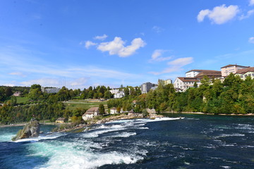 Obraz premium Stromschnellen vor dem Rheinfall im Kanton Schaffhausen 