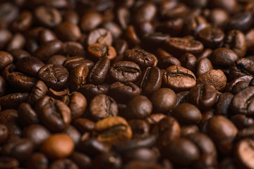 The texture of roasted coffee beans. Macro image