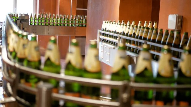 Large number of glass bottles with beer are moving along the conveyor. Low alcohol production. Drinks are ready to eat. Factory equipment at work. The finished product moves to another stage. Factory