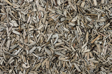 drity scobs texture