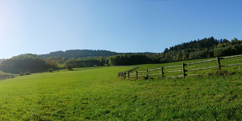 Countryside for horses, village green meadow.