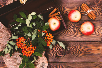 Autumn background with apples, cinnamon and a rowan branch in a wooden chest on a wooden table in rustic style. Copy space