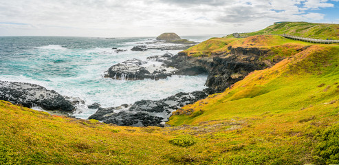 Panorama of the Nobbies centre on Phillips island in Australia