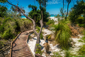 Path to heaven, whitehaven beach in Queensland, Australia
