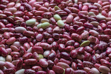 The shiny texture of fresh beans