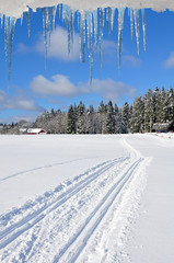 Fototapete bei efototapeten.de bestellen   