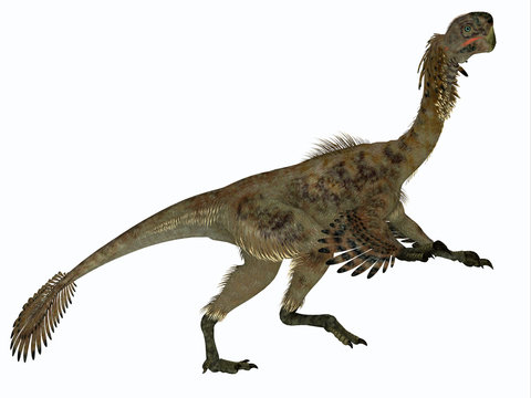 Citipati Female Dinosaur Side Profile