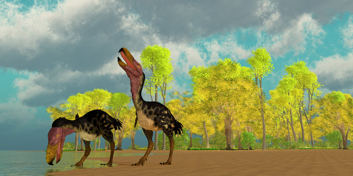 Miocene Kelenken Birds