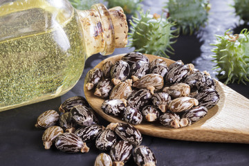 beans and castor oil on the black table