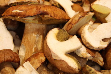 fresh mushroom on the market