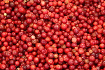 fresh cranberries, market